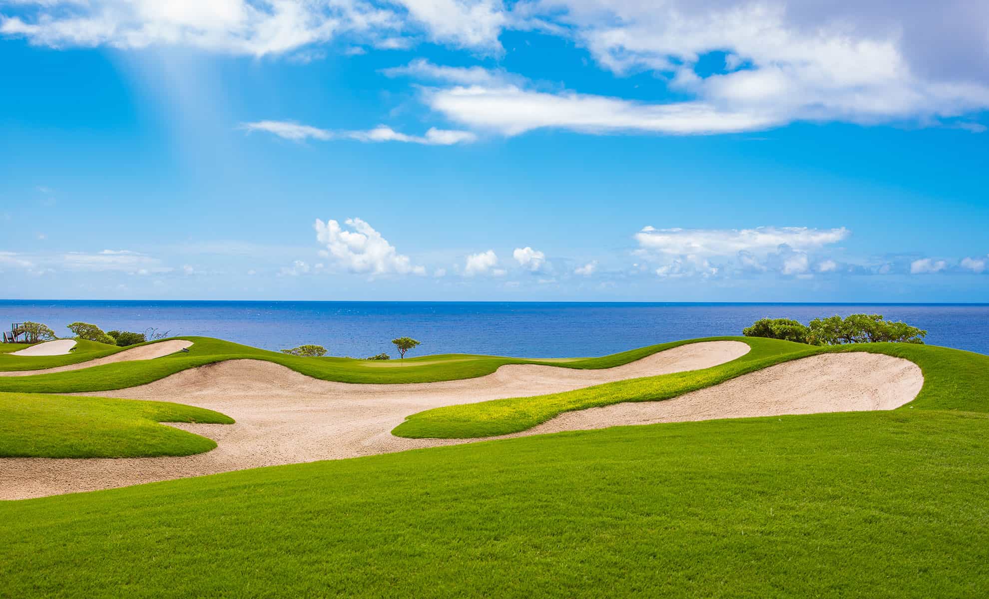Golf Course Ocean View