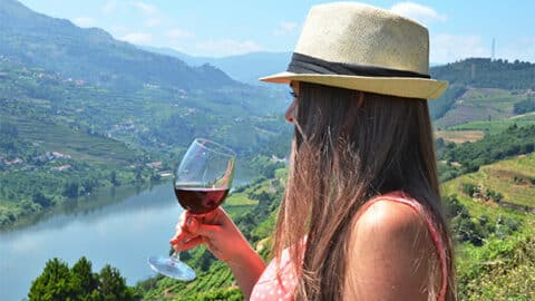 Porutgal Wine Vineyards Douro Valley